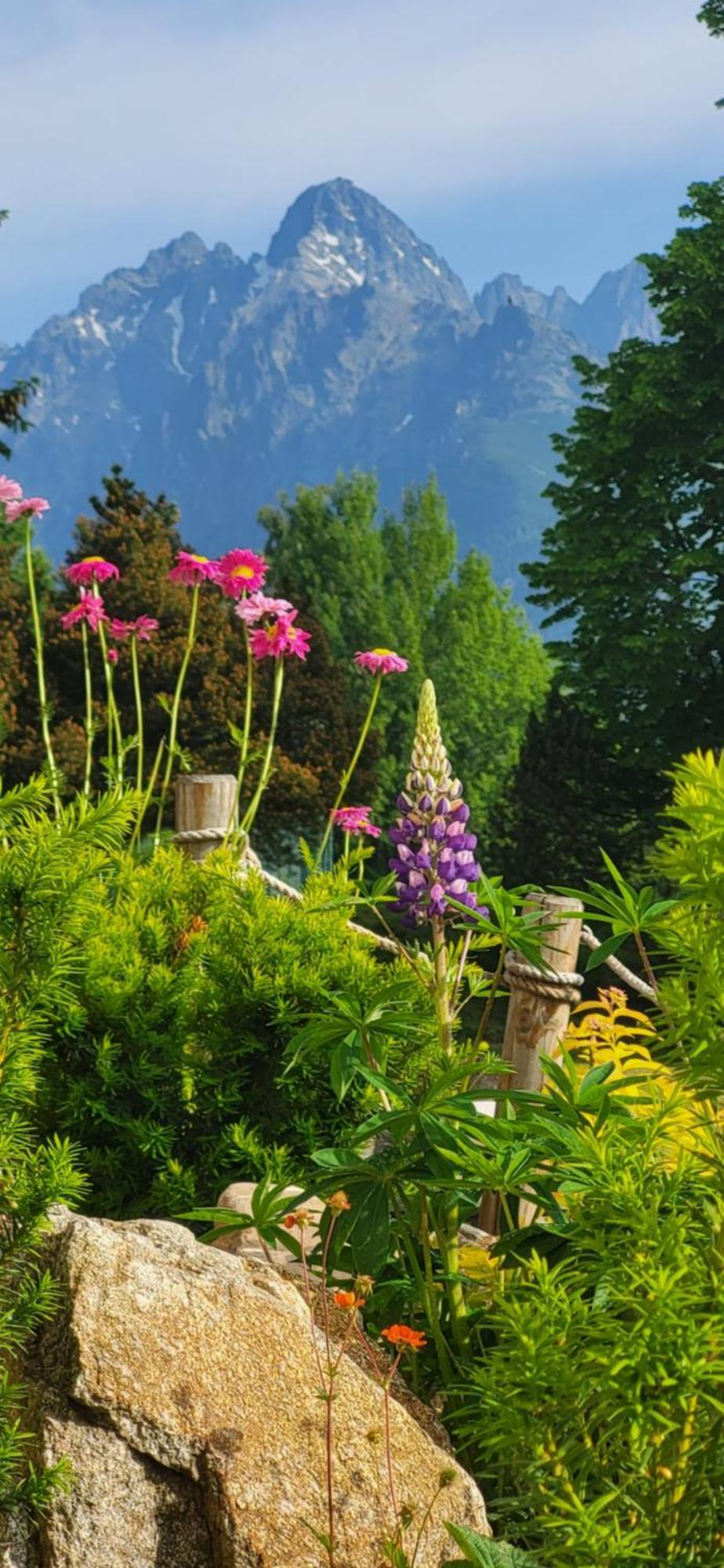 Vila Kollar Vysoké Tatry Rom bilde